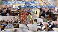 «Трудно птицам зимовать, надо птицам помогать»