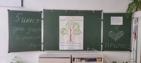 Экологическая акция «Дерево  экологических желаний»
