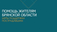 ПОМОЩЬ ЖИТЕЛЯМ БРЯНСКОЙ ОБЛАСТИ
