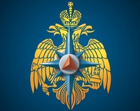 Месячник "Сухая трава"