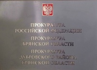 Прокуратура Дубровского района разъясняет особенности уголовной ответственности несовершеннолетних