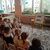 #Месячник#УступиДорогуПоездам